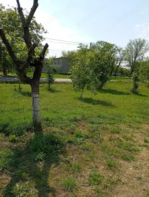 Vând Închiriez casa în comuna Pesac - imagine 8 Vând Închiriez casa în comuna Pesac - imagine 8