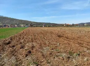 casa cu teren, casa, teren, pamant, apartament, garsoniera - imagine 6