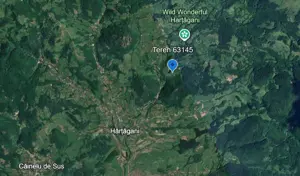 Vând teren intravilan, pozitie superba, sat Hărțăgani, com. Băița, Hunedoara, Mții Apuseni - imagine 5