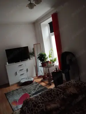 Casa de vânzare Deta jud Timiș  - imagine 9