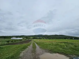 Teren 1,495mp Dobreni / Strada Parau Almas - imagine 4