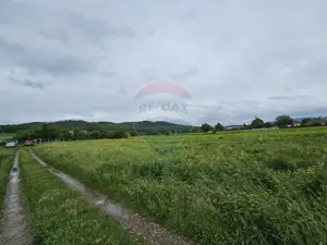 Teren 1,495mp Dobreni / Strada Parau Almas - imagine 10