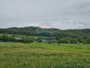 Teren 1,495mp Dobreni / Strada Parau Almas