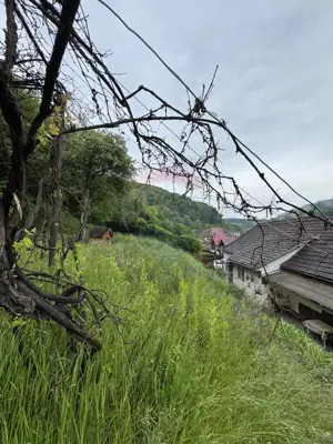 Casă în mijlocul naturii în Sighișoara, 912 mp teren - imagine 14