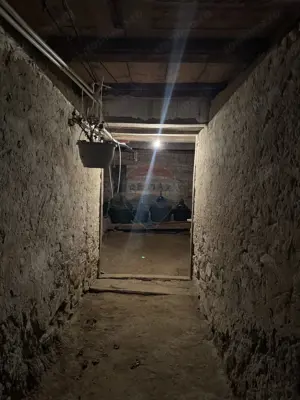 Casă în mijlocul naturii în Sighișoara, 912 mp teren - imagine 17