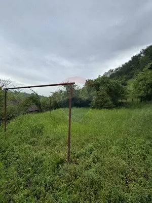 Casă în mijlocul naturii în Sighișoara, 912 mp teren - imagine 19