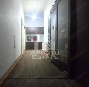 Proprietate cu potential turistic in Gurahont - imagine 11