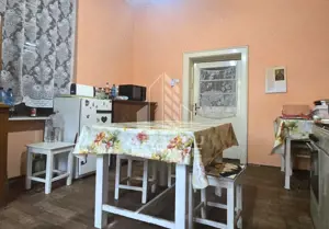 Proprietate cu potential turistic in Gurahont - imagine 9