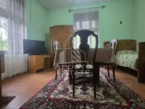 Proprietate cu potential turistic in Gurahont