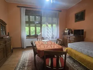 Proprietate cu potential turistic in Gurahont - imagine 20