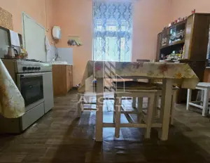 Proprietate cu potential turistic in Gurahont - imagine 19