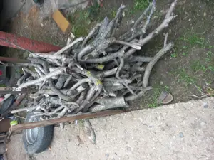 Vând lemne de foc din nuc.  - imagine 3