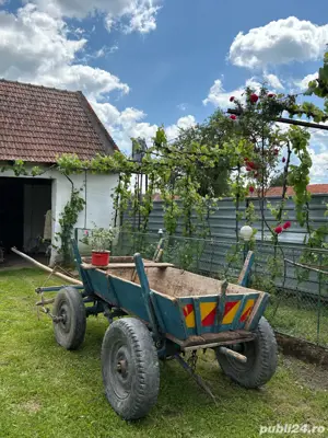 Vand caruta  - imagine 3