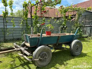 Vand caruta  - imagine 2