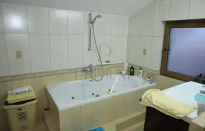 Duplex - Mosnita Noua - Toate Utilitatiile - imagine 10