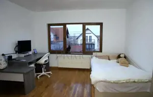 Duplex - Mosnita Noua - Toate Utilitatiile - imagine 11