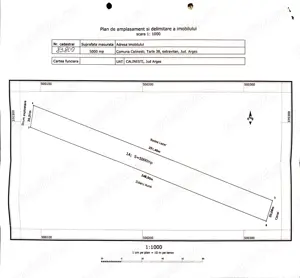 Vand teren agricol cu sere Calinesti, ARGES - imagine 2