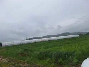 Vand teren agricol cu sere Calinesti, ARGES