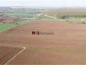 Vanzare Teren Central, Moara Vlasiei - imagine 2