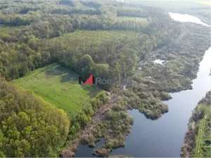 Vanzare Teren Central, Moara Vlasiei - imagine 3