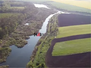 Vanzare Teren Central, Moara Vlasiei - imagine 5