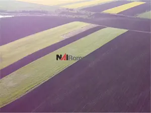 Vanzare Teren Central, Moara Vlasiei - imagine 7