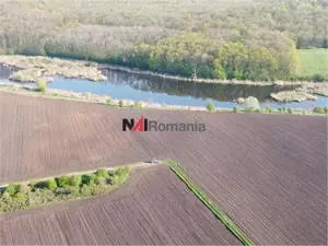 Vanzare Teren Central, Moara Vlasiei - imagine 8