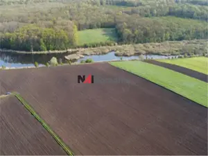 Vanzare Teren Central, Moara Vlasiei - imagine 9