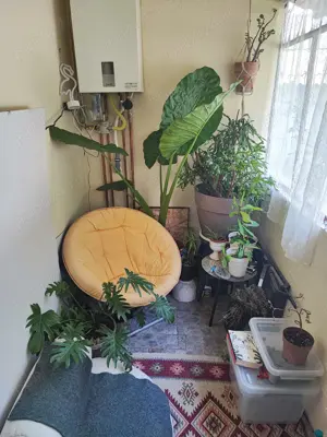 Vand casa la curte comuna - 2 camere, zona centrala - imagine 2