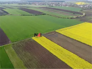 Vanzare Teren Central, Moara Vlasiei