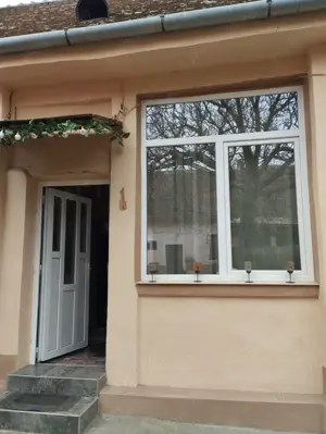 Casa de vânzare Deta jud Timiș  - imagine 15