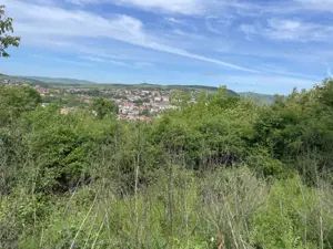 Teren intravilan de vanzare, 1952mp, Dealul Florilor - imagine 2