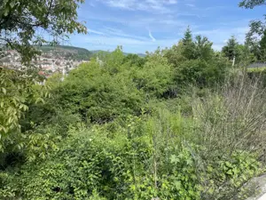 Teren intravilan de vanzare, 1952mp, Dealul Florilor