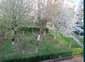 Vând apartament zona Nord 2 camere  - imagine 3