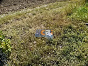 Teren iesire din Nicolae Balcescu, la 200ml de E85 Bacau - imagine 11