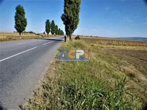 Teren iesire din Nicolae Balcescu, la 200ml de E85 Bacau - imagine 8