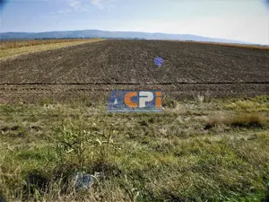 Teren iesire din Nicolae Balcescu, la 200ml de E85 Bacau - imagine 7