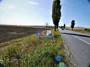 Teren iesire din Nicolae Balcescu, la 200ml de E85 Bacau - imagine 10