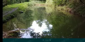 Vând, casă, pensiune - imagine 3