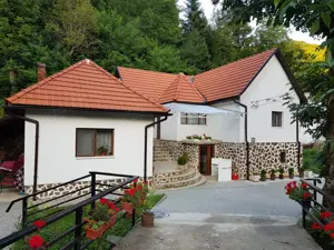 Vând, casă, pensiune