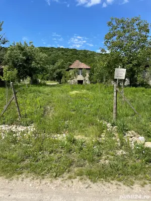 teren de vanzare 
