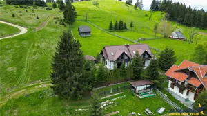 FILM! Eleganta casa de vacanta,select echipata,peisaj de vis,Fundata,Brasov - imagine 13