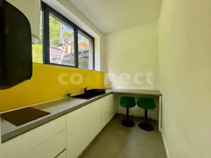 De inchiriat spatiu comercial 208 mp utili, 4 locuri parcare | Tăietura Turcului - imagine 4