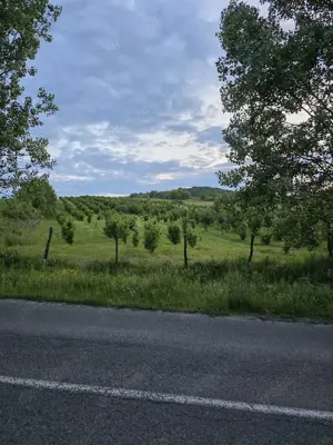 Vand teren livada - imagine 3