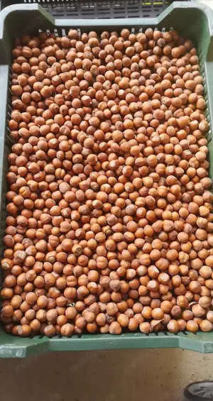 Vand teren livada - imagine 10