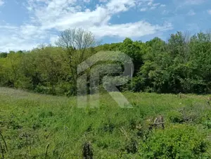 intravilan Tiparesti, relaxare aproape de padure