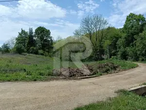 intravilan Tiparesti, relaxare aproape de padure - imagine 5