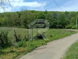 intravilan Tiparesti, relaxare aproape de padure - imagine 4