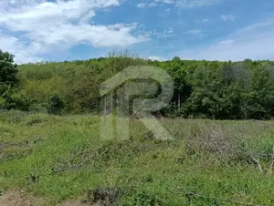 intravilan Tiparesti, relaxare aproape de padure - imagine 2