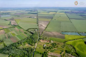 Cladire industriala de vanzare cu potential 3,5 ha in Batania - imagine 16